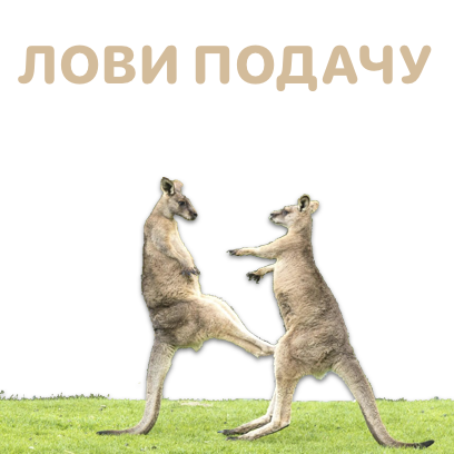 Sticky Kangaroo messages sticker-9