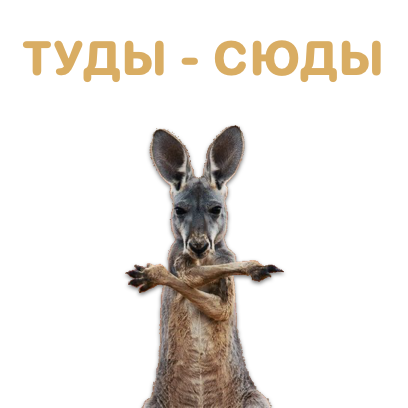 Sticky Kangaroo messages sticker-11