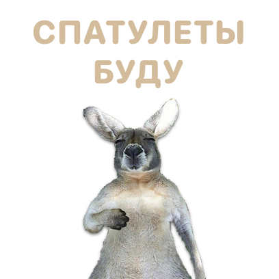 Sticky Kangaroo messages sticker-8