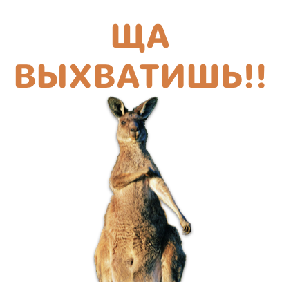 Sticky Kangaroo messages sticker-5