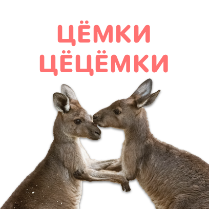 Sticky Kangaroo messages sticker-4