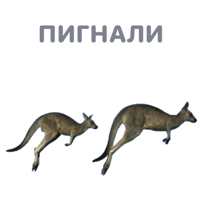 Sticky Kangaroo messages sticker-3