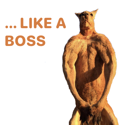 Sticky Kangaroo messages sticker-2