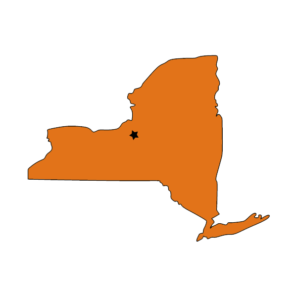 Syracuse University Stickers messages sticker-7