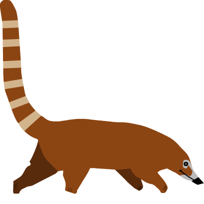 Coatimoji messages sticker-1