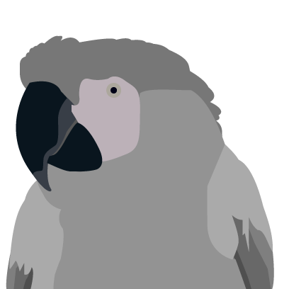 Coatimoji messages sticker-10