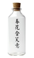 Wishing bottle messages sticker-7