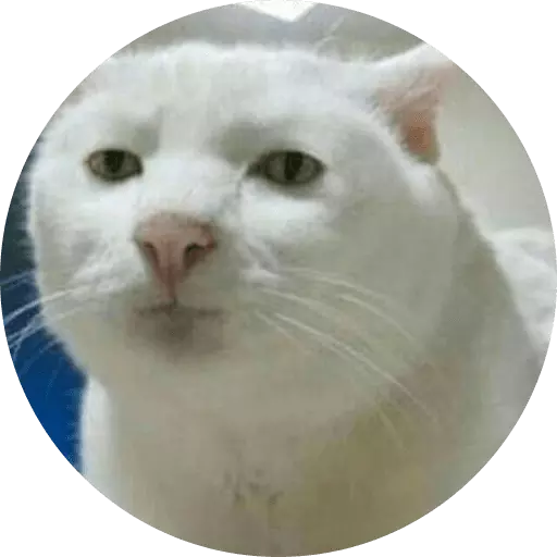Funny Cat Stickers Animated messages sticker-11