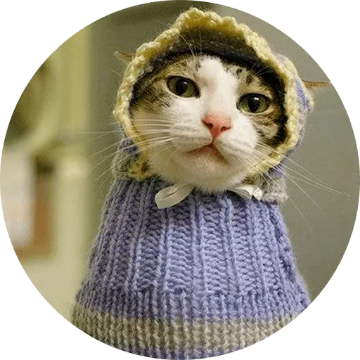 Funny Cat Stickers Animated messages sticker-8