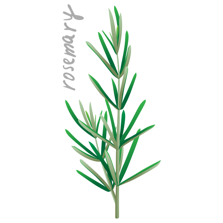 VegSeedSt messages sticker-4