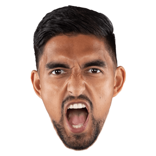 Inter Miami CF messages sticker-3