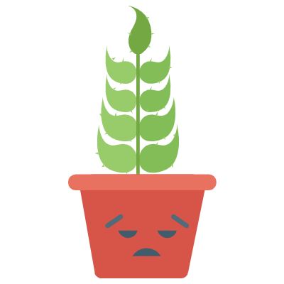 Cute Cactuss messages sticker-6