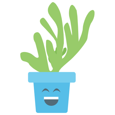 Cute Cactuss messages sticker-5