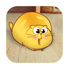 Happy Cat Stickers messages sticker-5