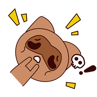 RaccoonMo messages sticker-1