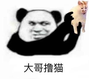 小贝宠物 STICKER messages sticker-9