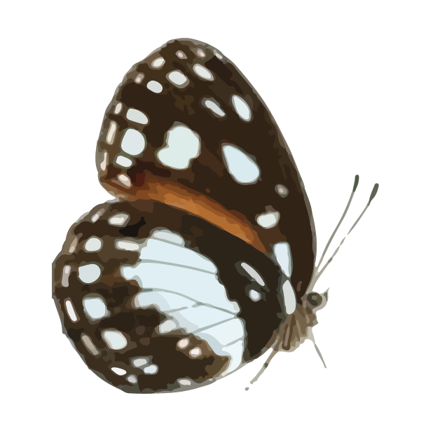 Butterflies Volume 1 messages sticker-0