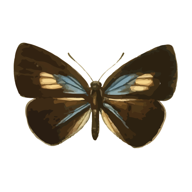 Butterflies Volume 1 messages sticker-1
