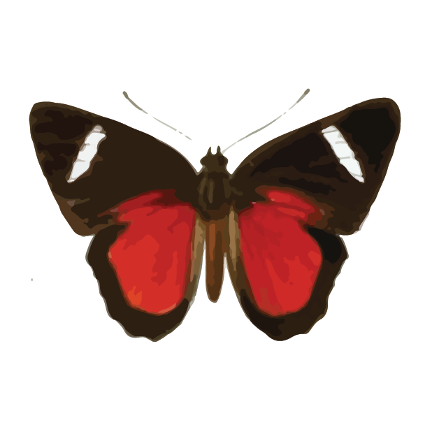 Butterflies Volume 1 messages sticker-6
