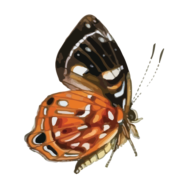Butterflies Volume 1 messages sticker-4