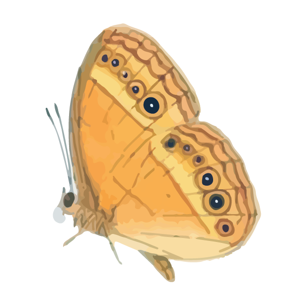 Butterflies Volume 1 messages sticker-10