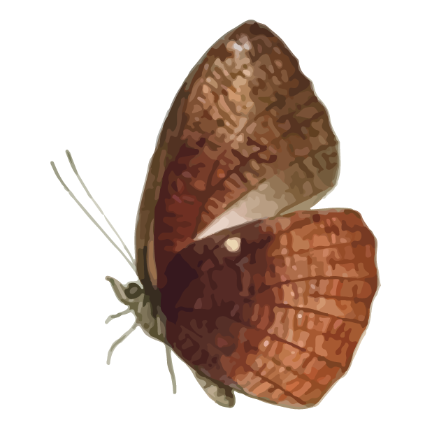 Butterflies Volume 1 messages sticker-8