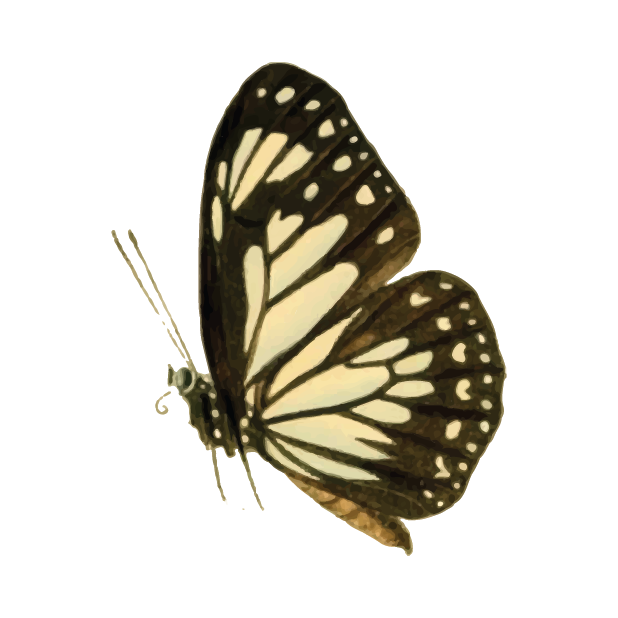 Butterflies Volume 1 messages sticker-11