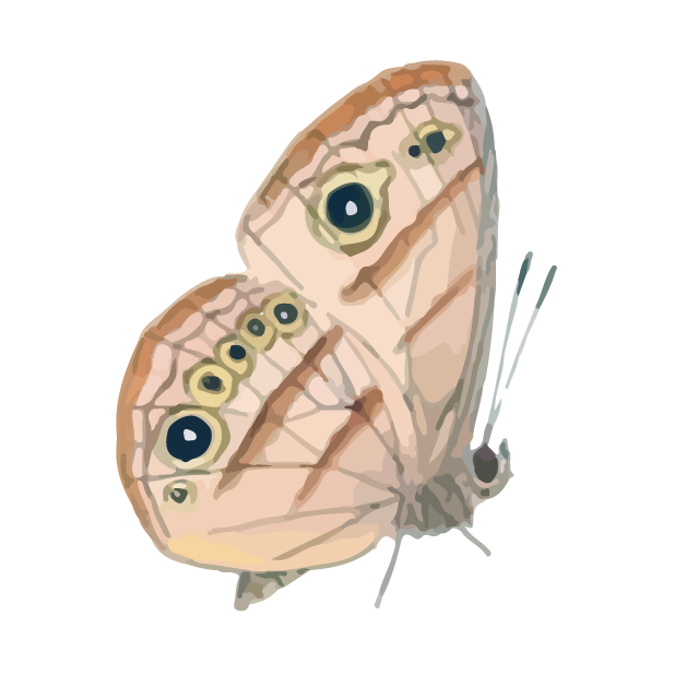 Butterflies Volume 1 messages sticker-5