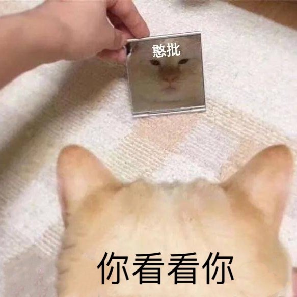 Cute Pet Emoji messages sticker-5