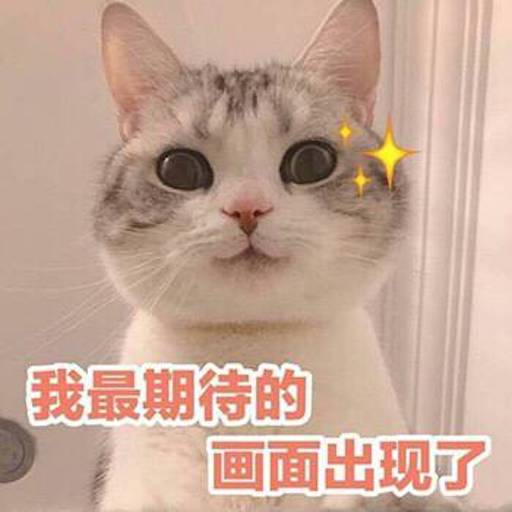 Cute Pet Emoji messages sticker-4