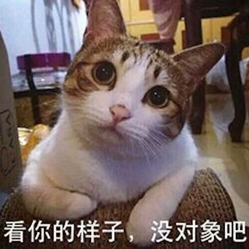 Cute Pet Emoji messages sticker-2