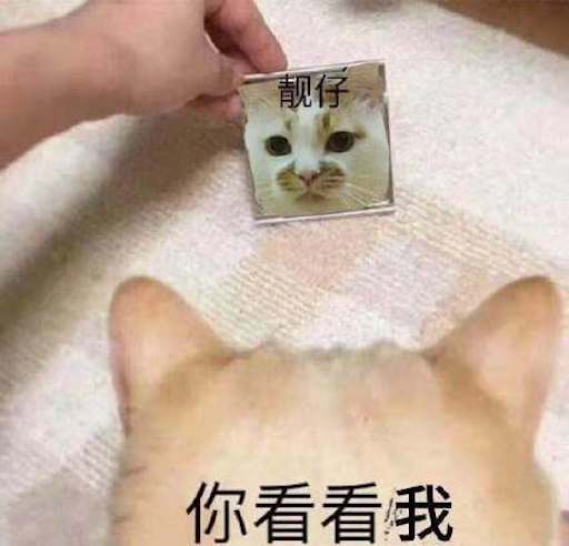 Cute Pet Emoji messages sticker-6