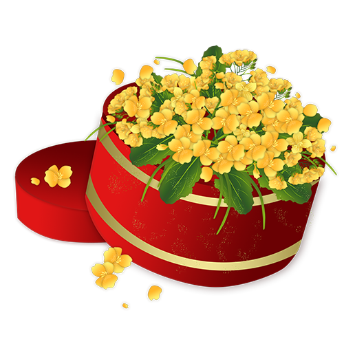 油菜转 messages sticker-8