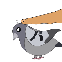 Pigeon cackles Sticker messages sticker-2