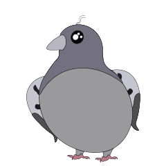 Pigeon cackles Sticker messages sticker-10