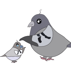 Pigeon cackles Sticker messages sticker-6