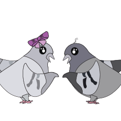 Pigeon cackles Sticker messages sticker-1