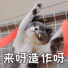 小皮蛋的日常 messages sticker-7