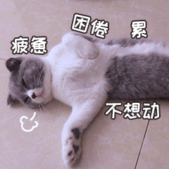 小皮蛋的日常 messages sticker-8