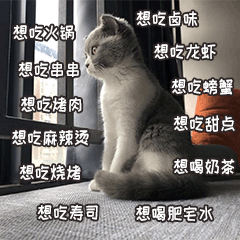 小皮蛋的日常 messages sticker-3