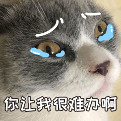 小皮蛋的日常 messages sticker-4