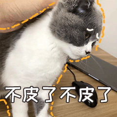 小皮蛋的日常 messages sticker-0