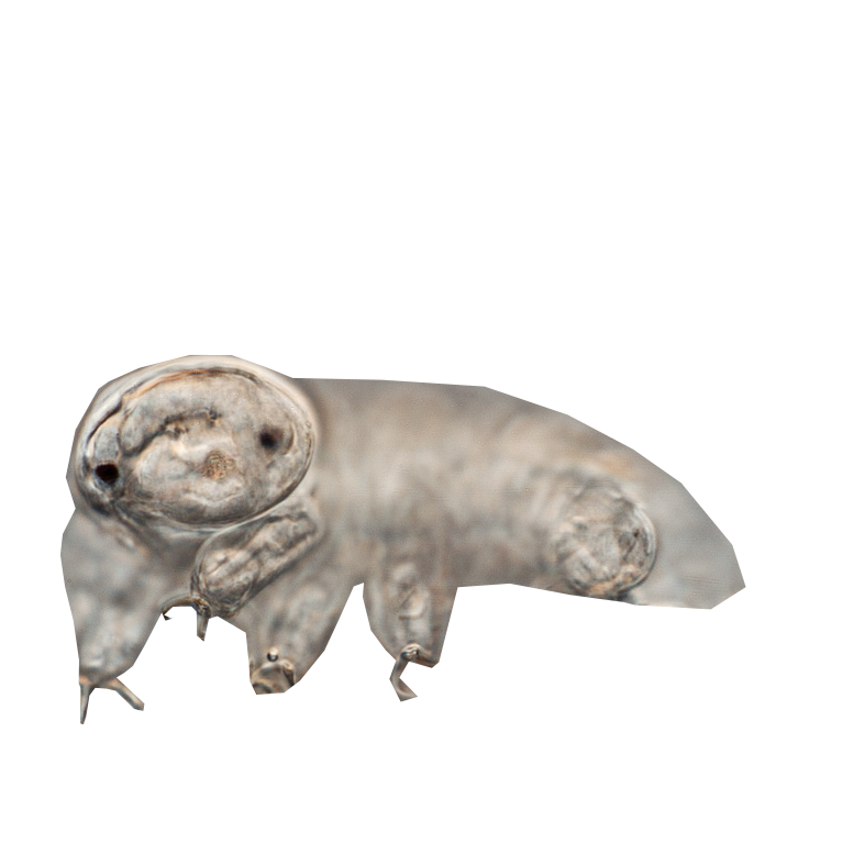 Tardigrades Stickers messages sticker-2