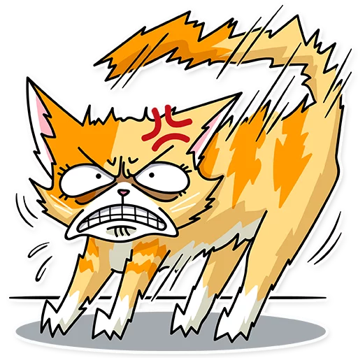 有趣猫 messages sticker-4