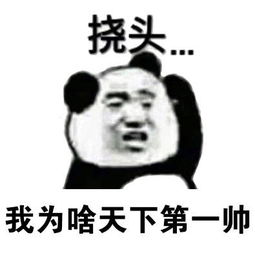 怼怼大玥子 messages sticker-9