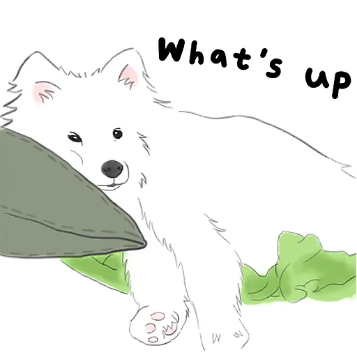 Samoyed - Sticker messages sticker-0