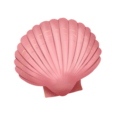 Cute Seashell Sticker messages sticker-1