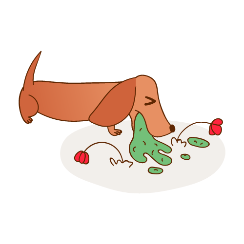 DoxieMojis messages sticker-5