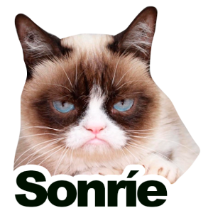 凶八啊欧猫 messages sticker-2