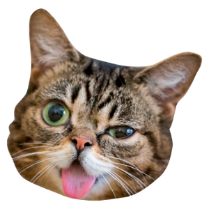 凶八啊欧猫 messages sticker-10
